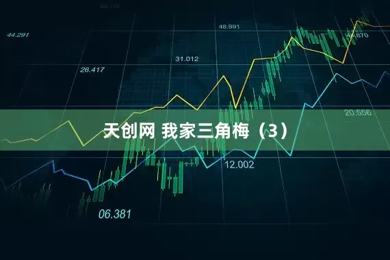 天创网 我家三角梅（3）